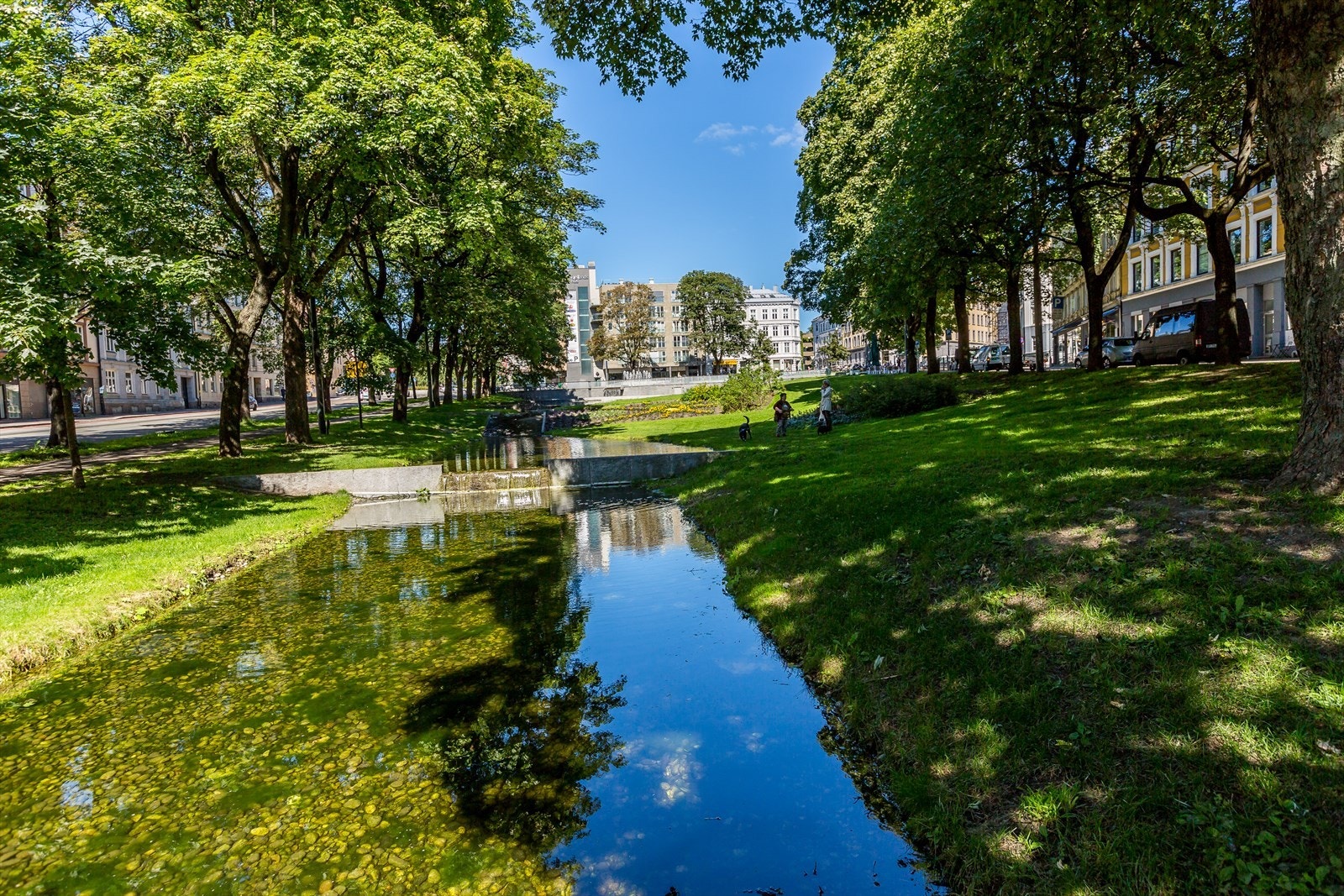Nærområdet har store, grønne lunger og pent opparbeidede parkområder. Galleribilde