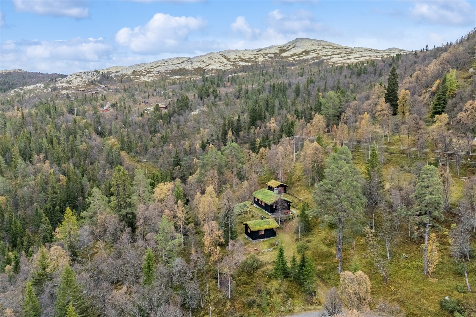 I området er det turmuligheter like utenfor døra. Galleribilde