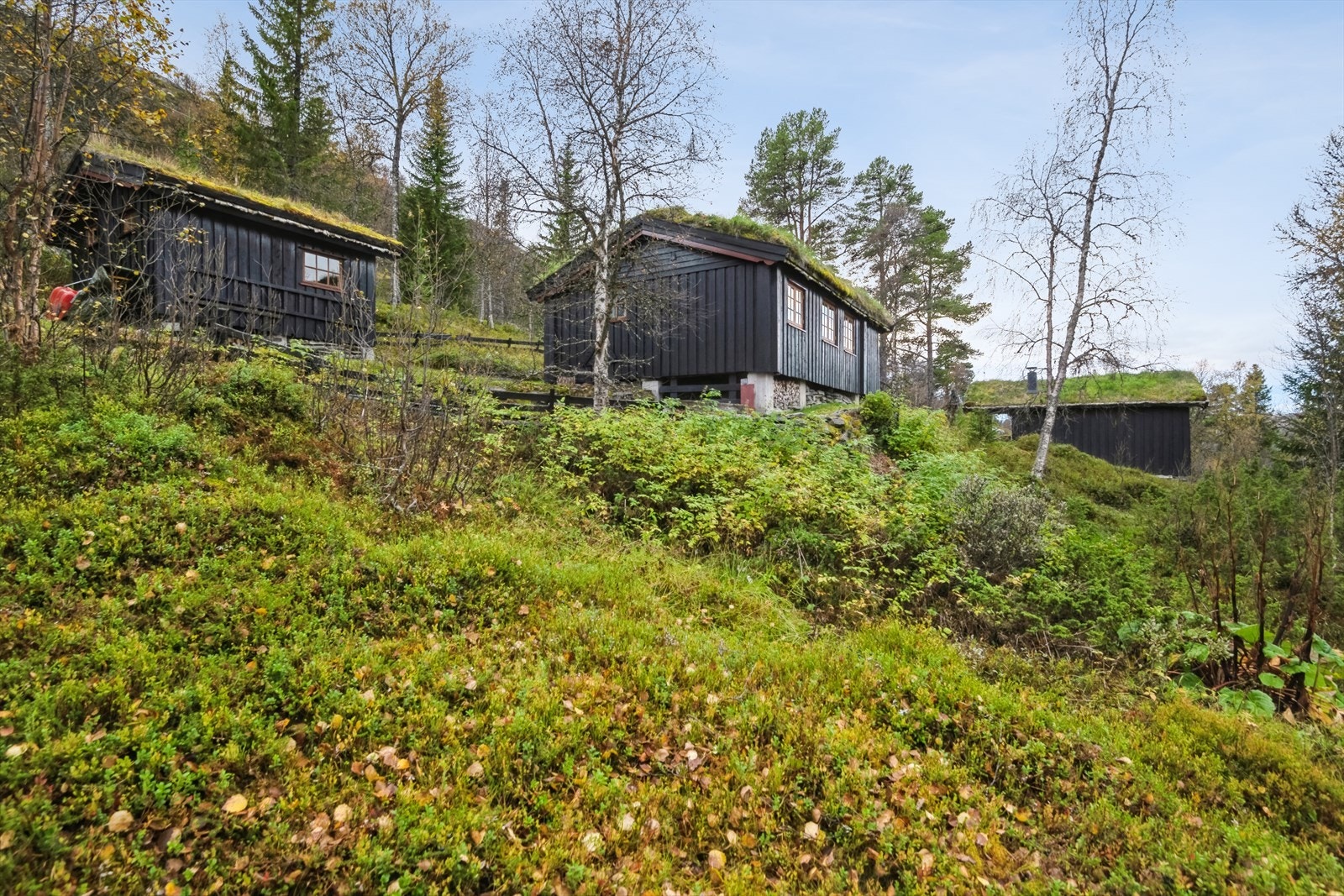 Fritidseiendommen ligger i et flott område for de som liker toppturer, eventuelt enklere gang- og sykkelturer eller skiturer på vinterstid. Galleribilde