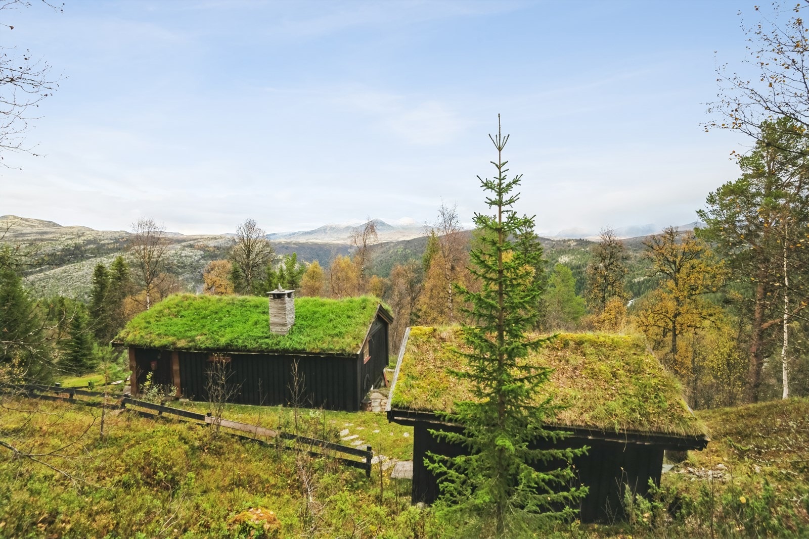 Velkommen til Skjerdinghø 36! Galleribilde