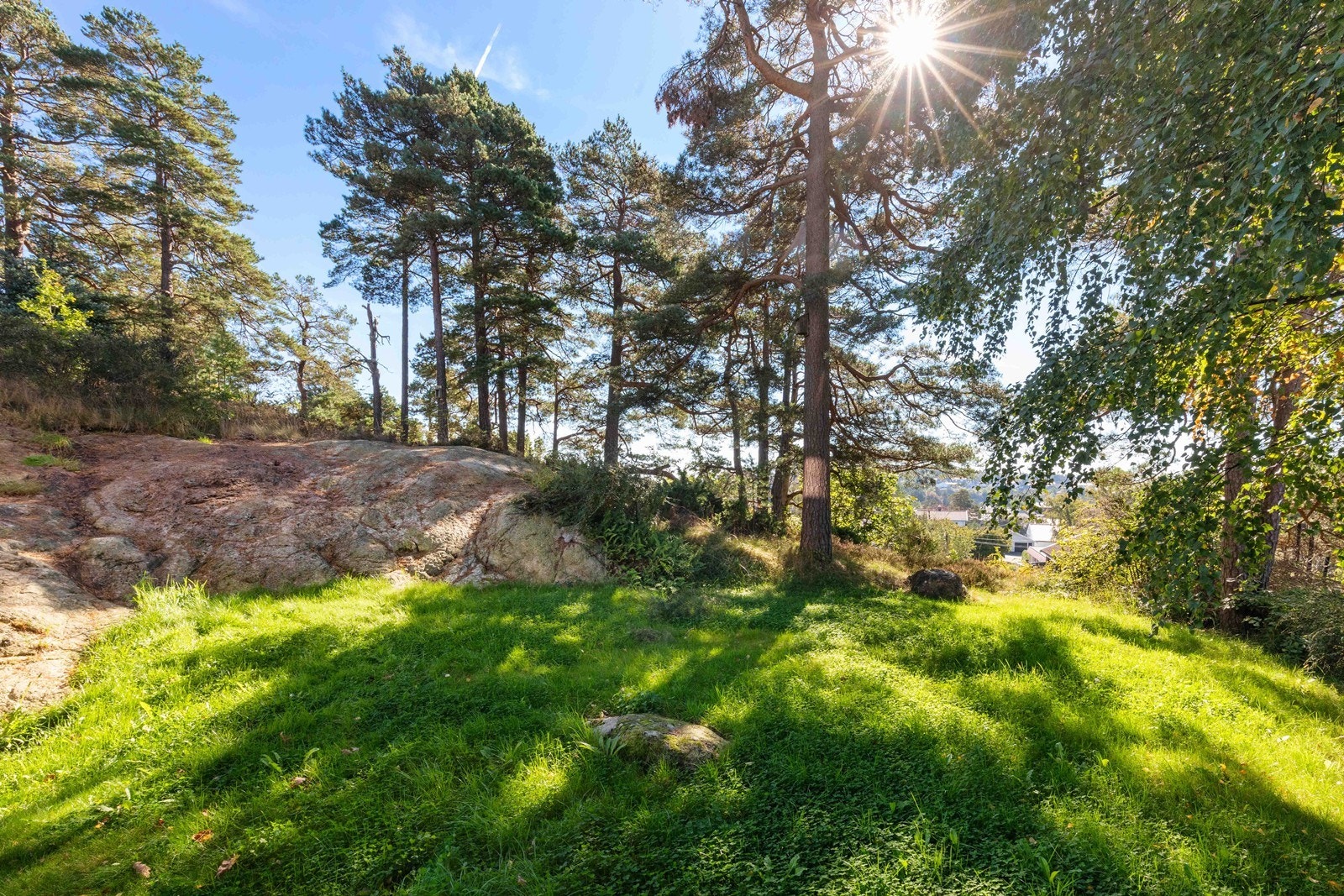Uteområde/friareal Galleribilde