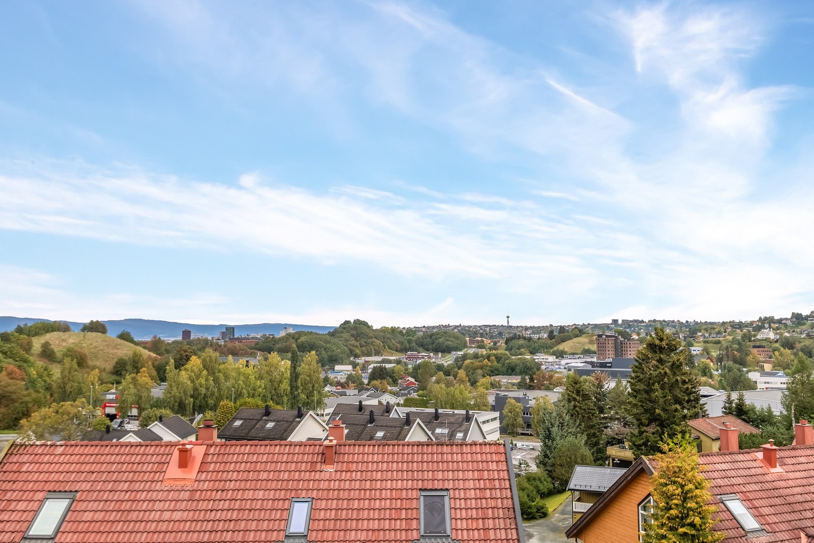 Utsikt Galleribilde