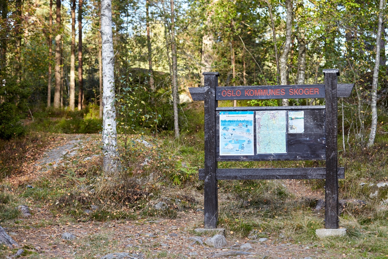 Flott turterreng i nærområdet. Galleribilde