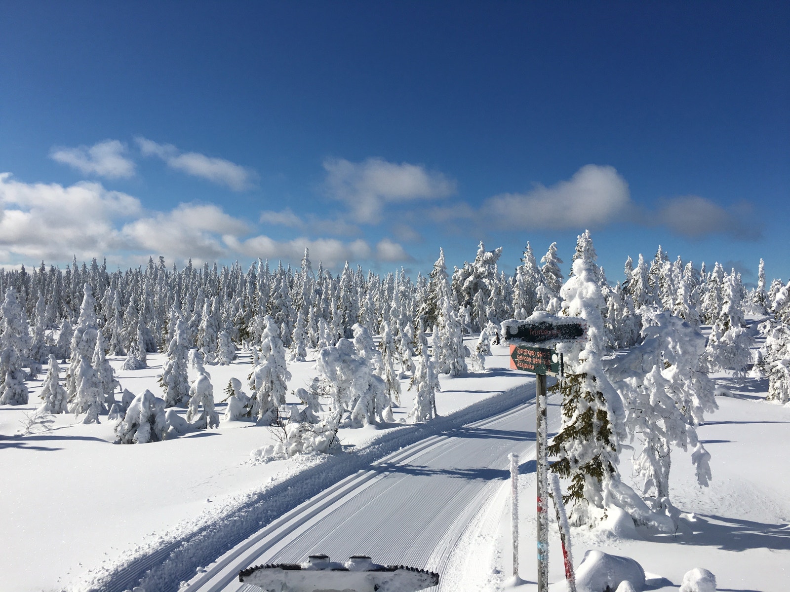Mylla har et stort løypenett som strekker seg over hele Nordmarka Galleribilde