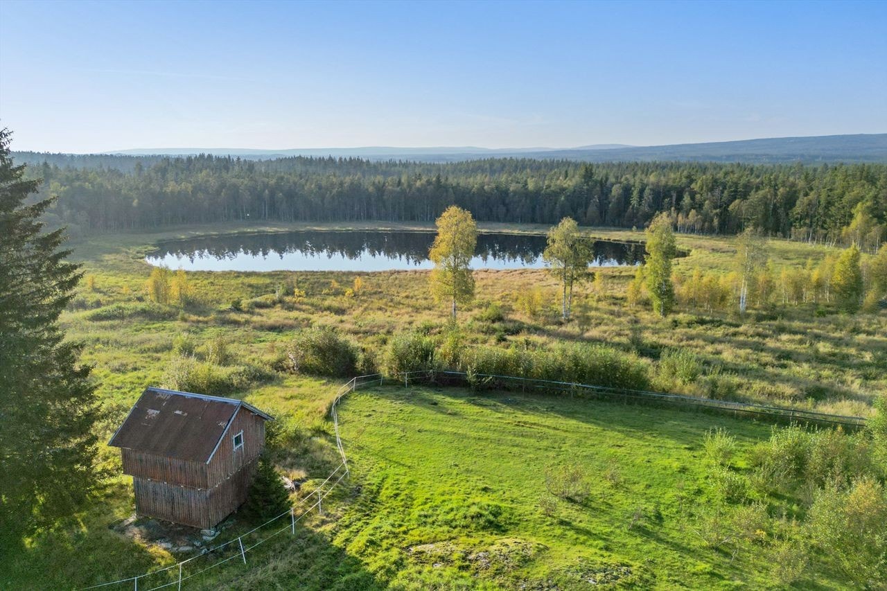 Stabbur, beite og tjern på nordsiden av lokalvegen Galleribilde