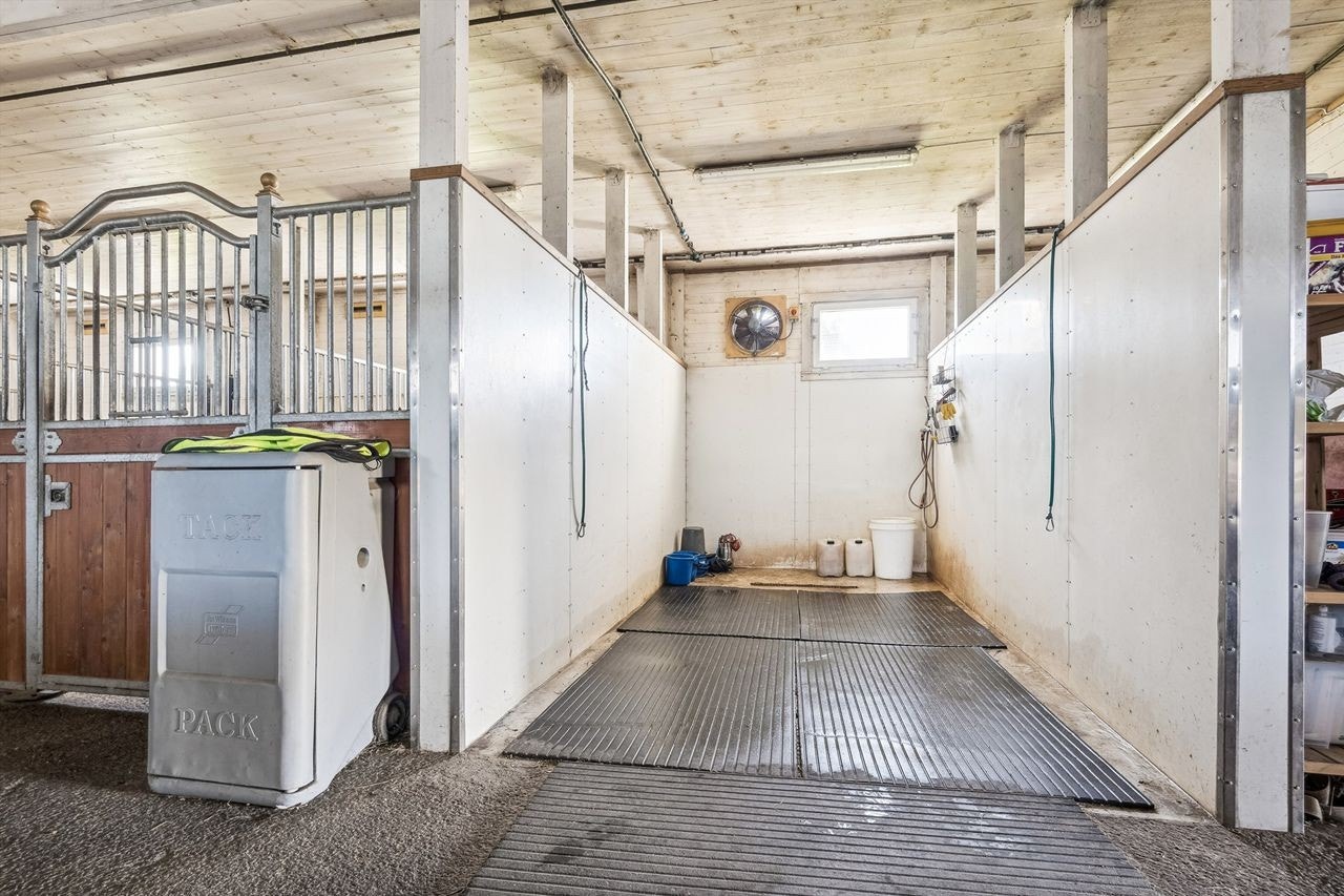 Vaskespilt Galleribilde