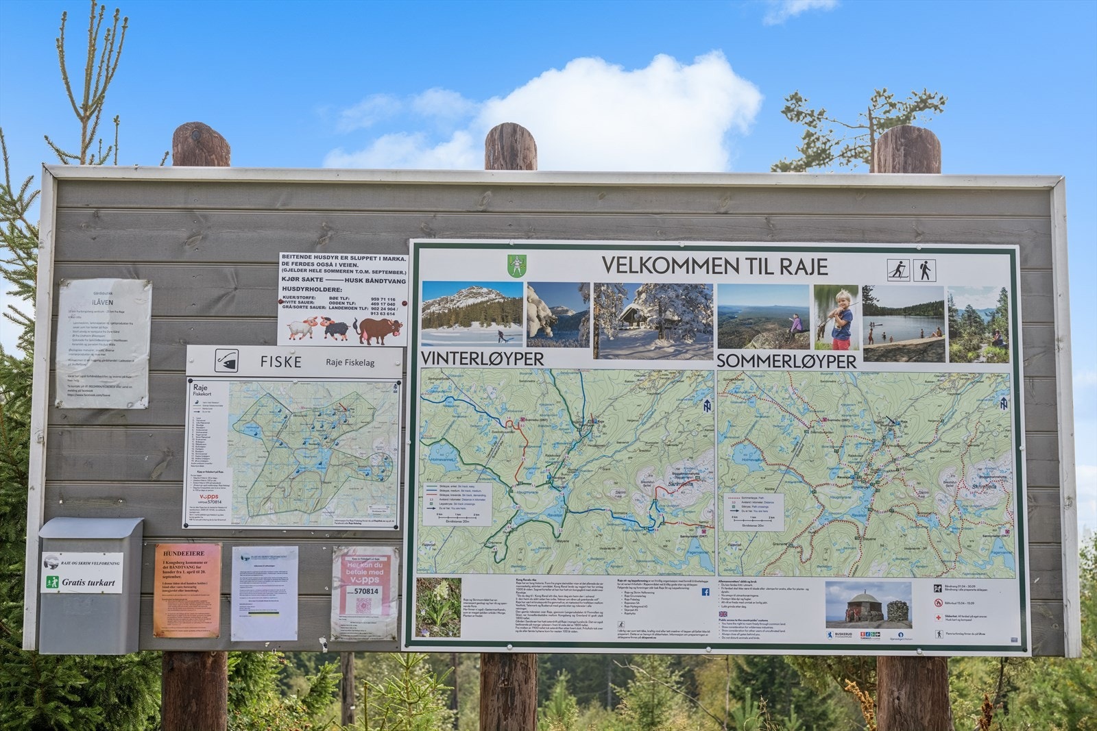 Raje er et skog- og fjellområde beliggende på nordvestsiden av Skrimfjell med Ravalsjøen i sør og Svendsbufjell i vest. Galleribilde