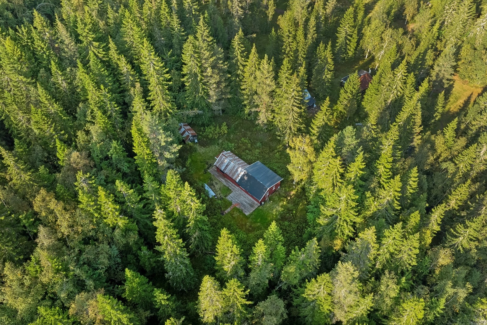 Hytta har en usjenert og fin beliggenhet med skogen som nærmeste nabo. Galleribilde