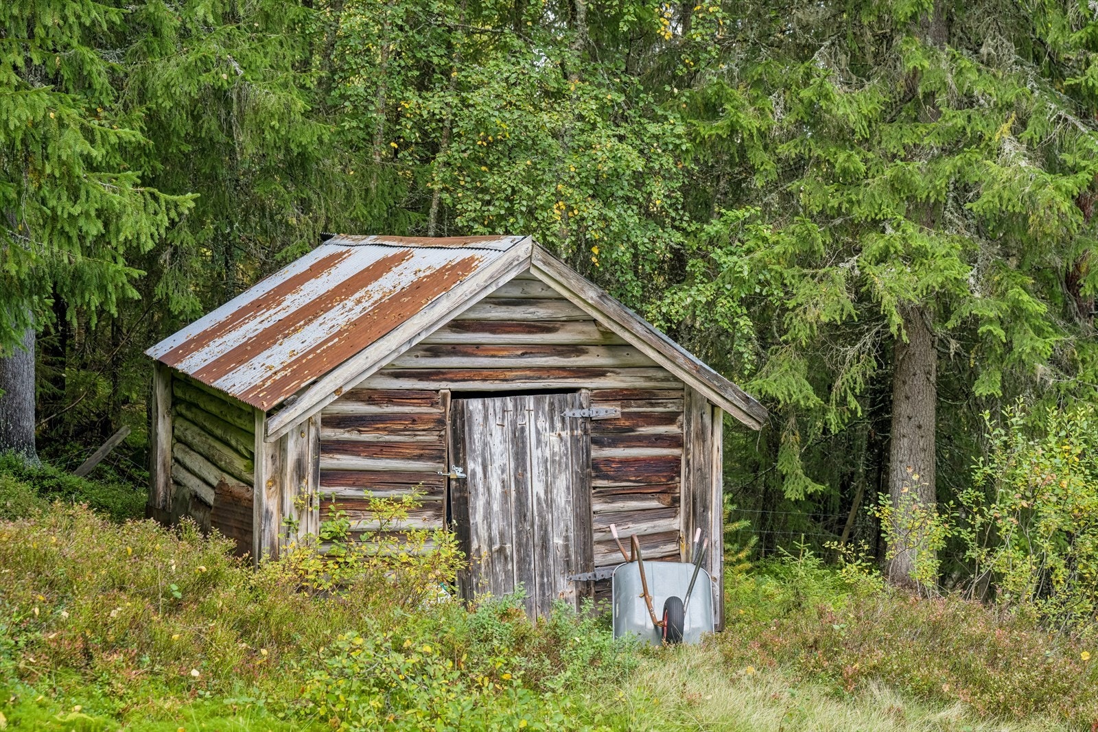 Utebod med praktisk lagringsplass. Galleribilde