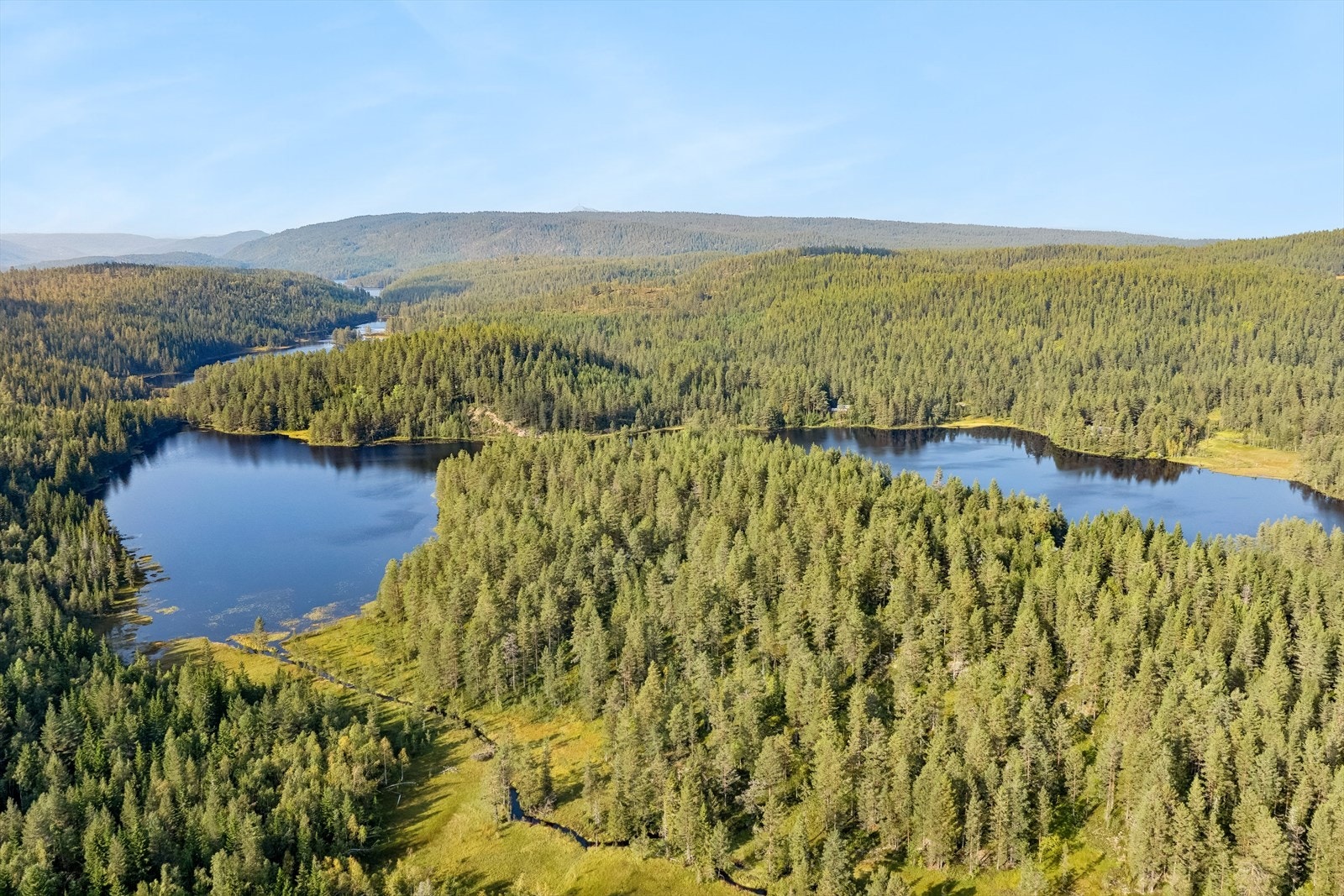 Nærområdet byr på flotte turopplevelser hele året, og er et naturlige valg av område for kjøp av fritidsbolig. På Sommerstid er det flere idylliske badevann, gode fiskemuligheter (med fiskekort), hvor skogen bugner av bær og sopp de rette årstidene. Galleribilde