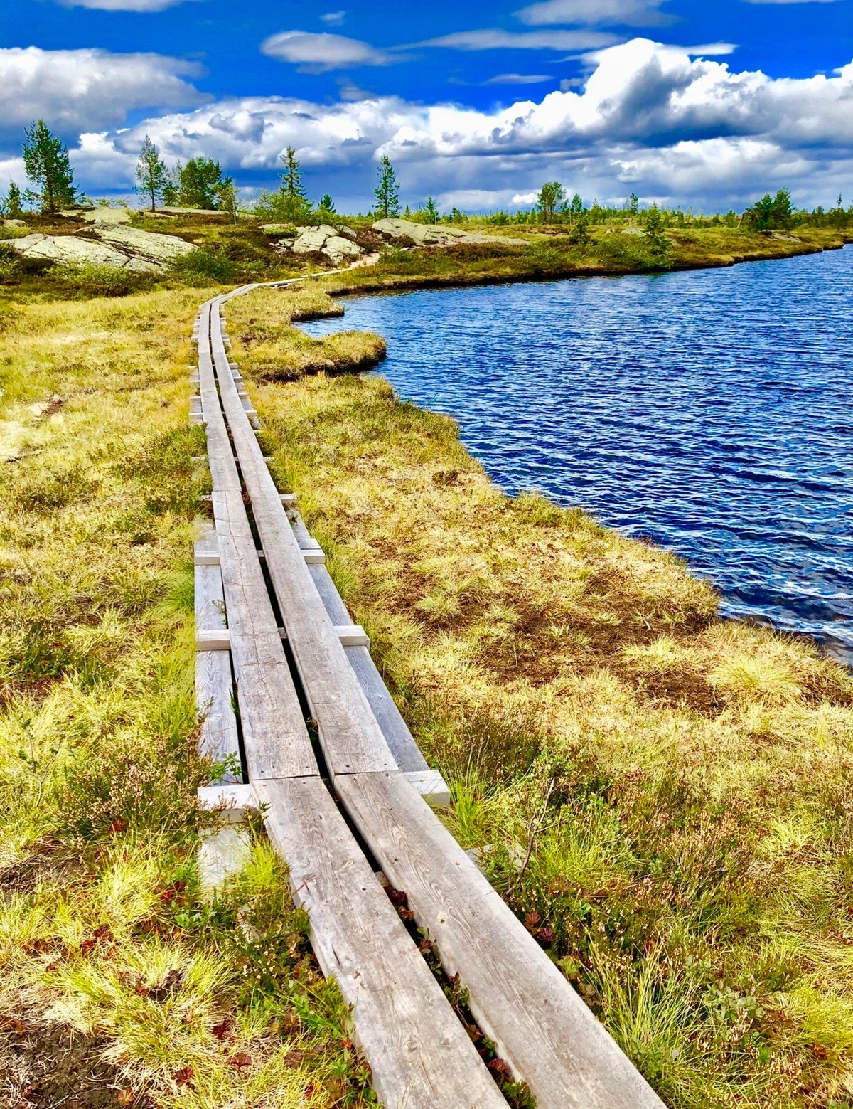 På sommer og høst er det flotte turmuligheter til fots Galleribilde