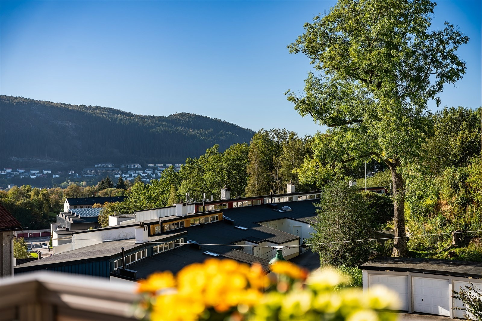 - Her kan du nyte utsikt over fine naturområder - Galleribilde