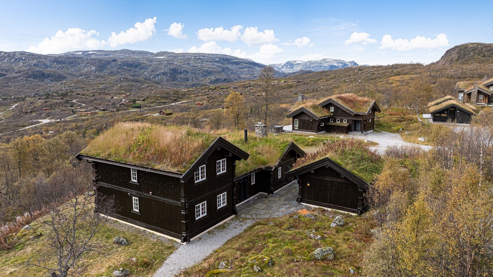 Tunet bak hytten (Mot nord) Galleribilde