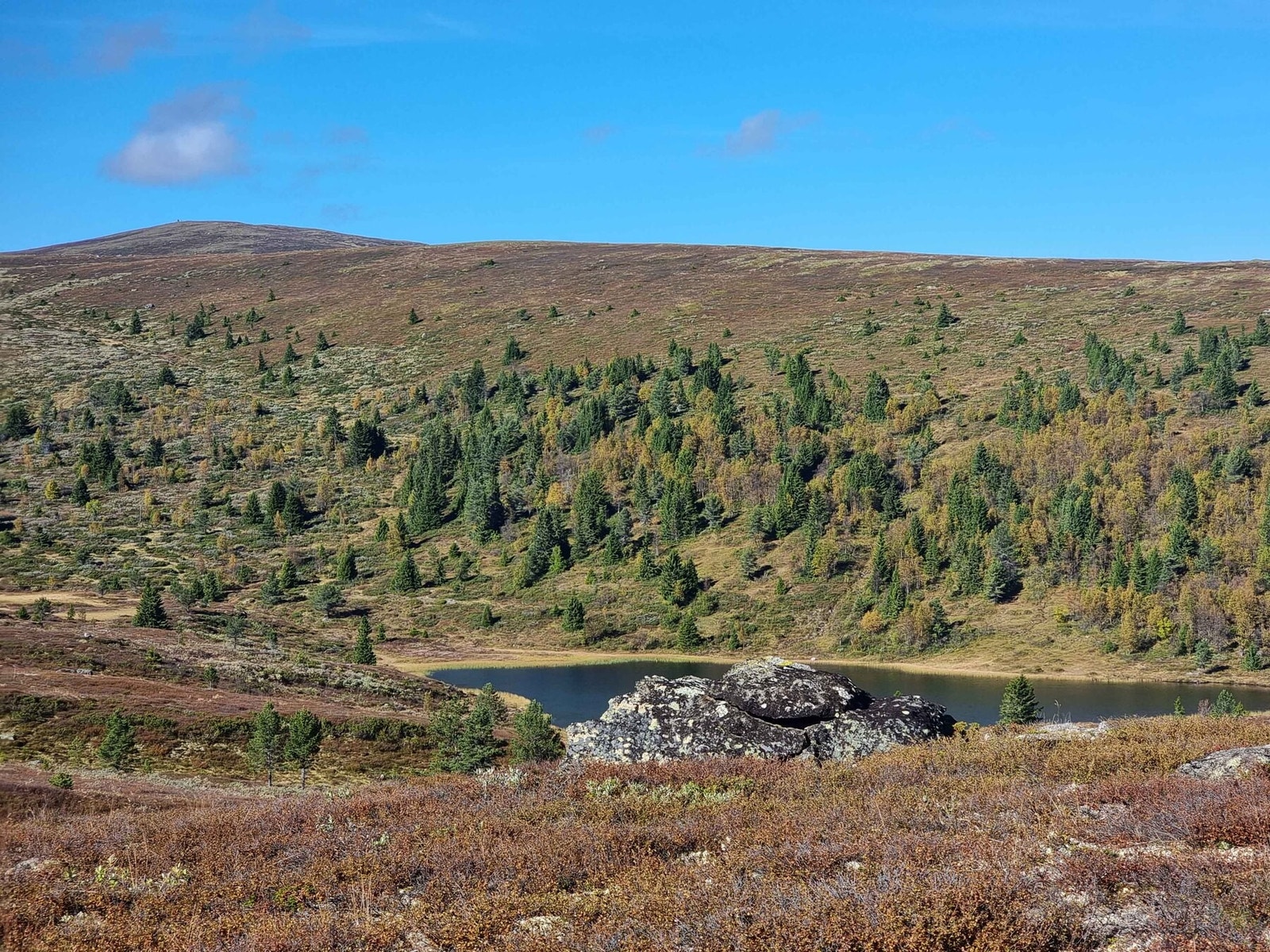 Bringsfjellet ligger 1246moh og er en flott tur fra hytteområdet Galleribilde