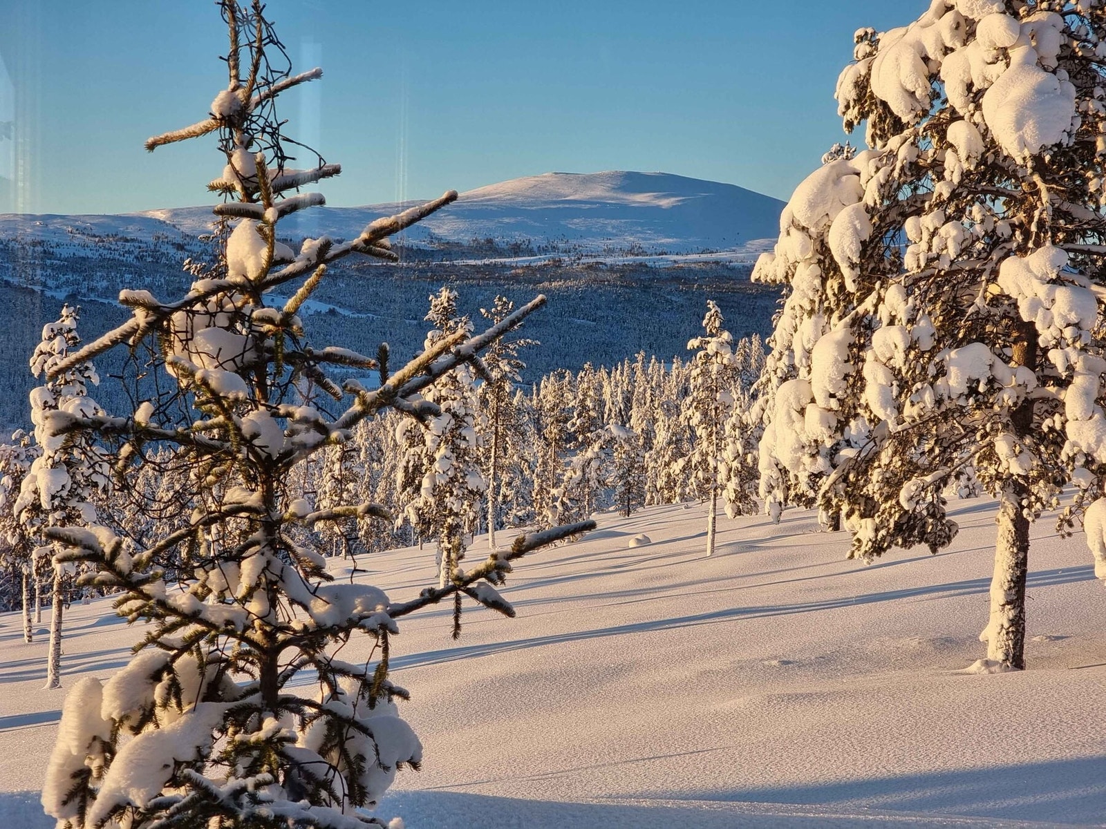 Foto fra tomteområdet Galleribilde