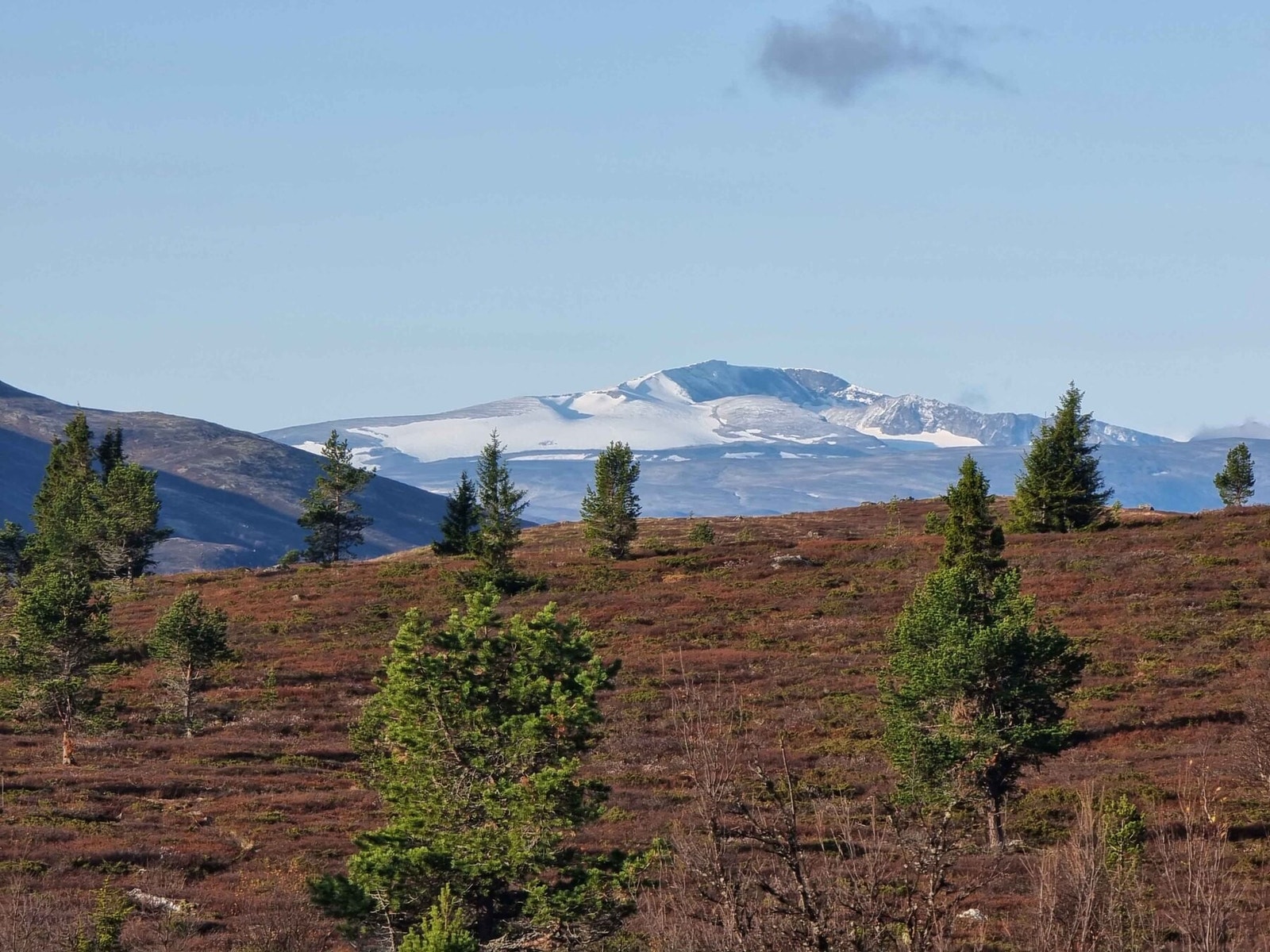 Glittertind troner i det fjerne. Et fint turmål for den som ønsker litt utfordringer! Galleribilde