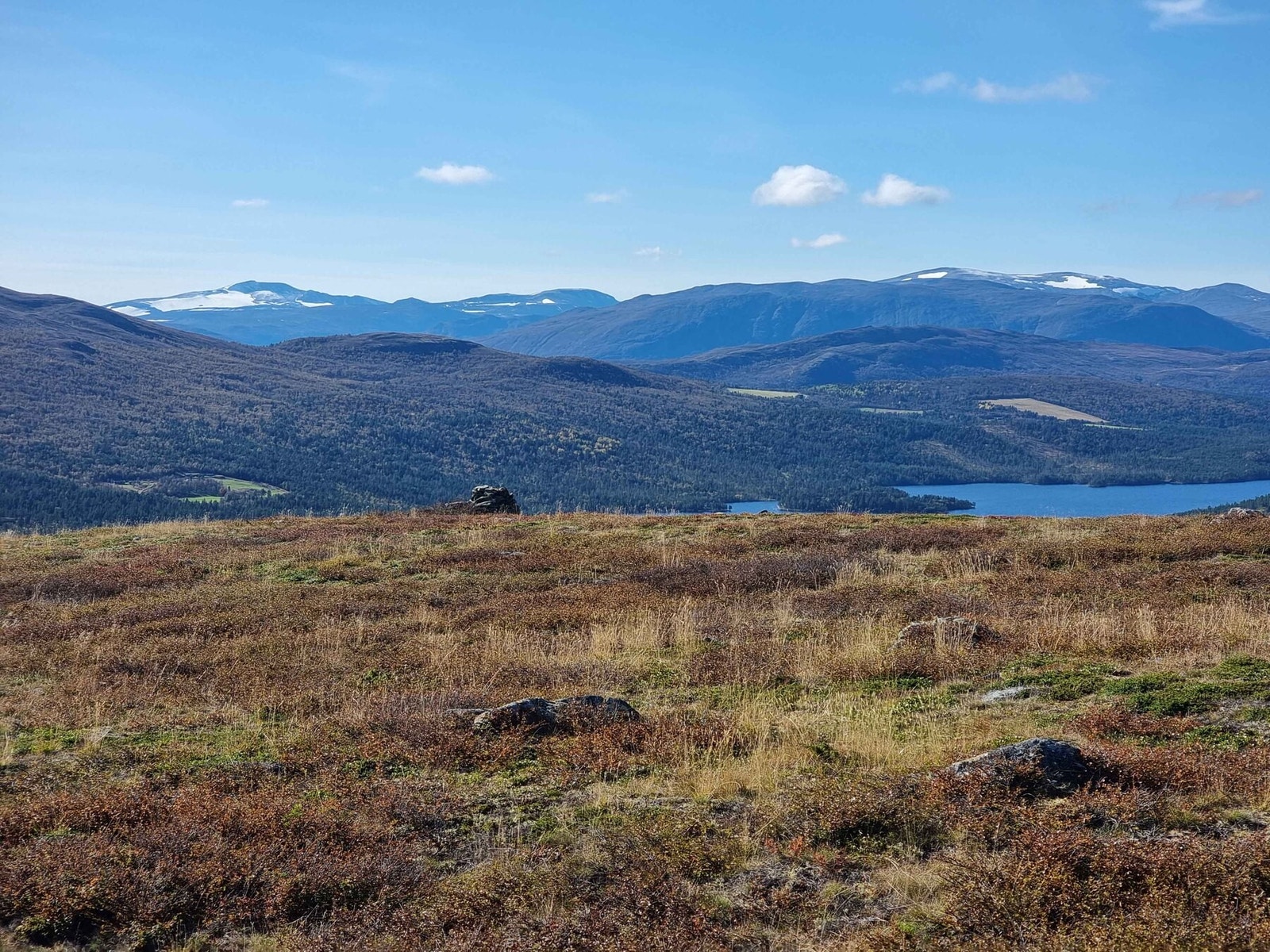 Flott utsikt mot Jotunheimen Galleribilde