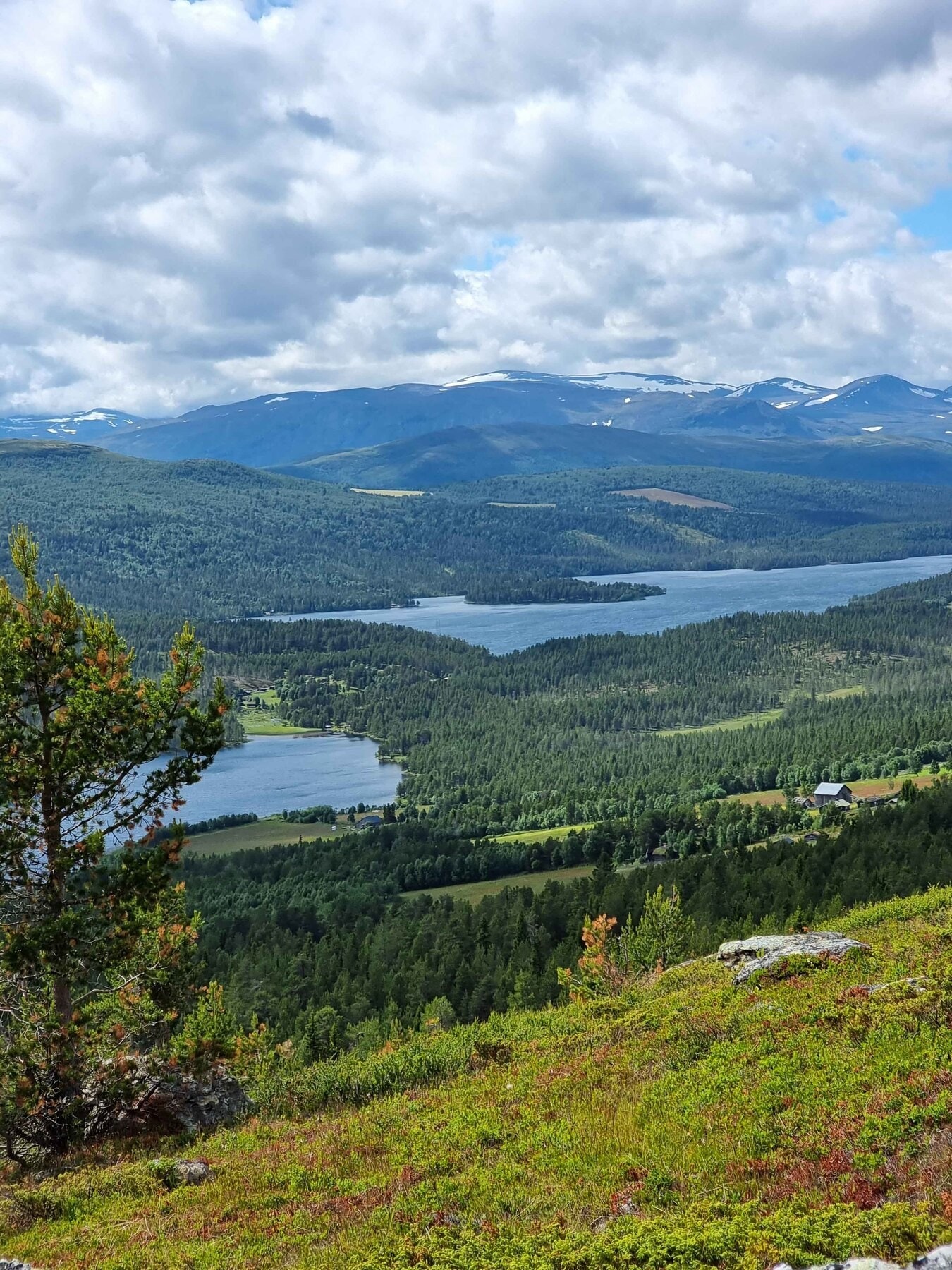 Utsikt fra tomteområdet mot Melingen og Flatningen, gode fiskevann! Galleribilde