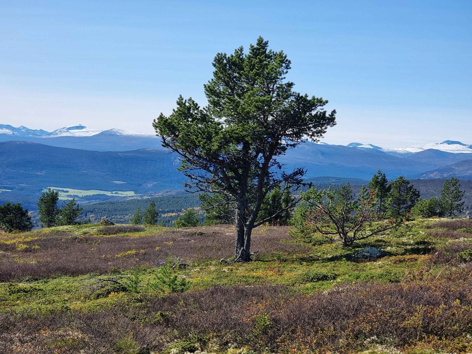 Vakkert landskap! Galleribilde