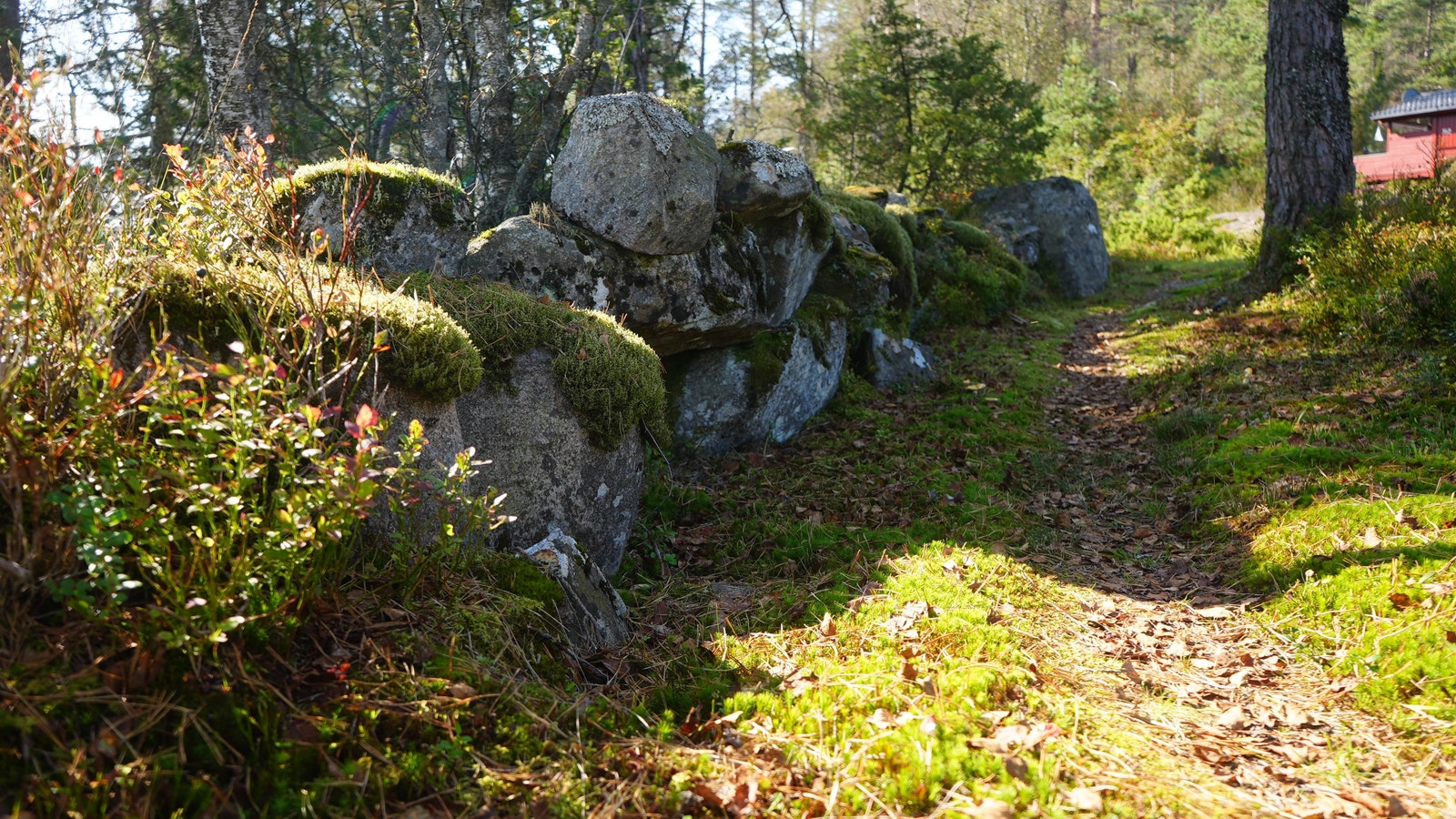 Gangvei inn til hytte Galleribilde