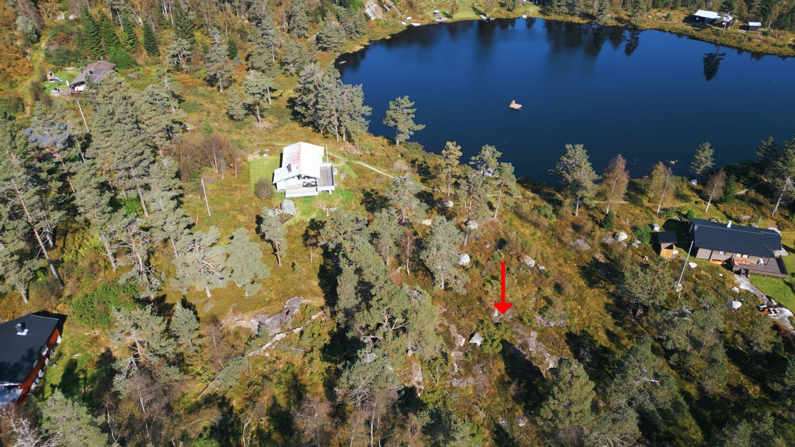 Tomtens plassering Galleribilde