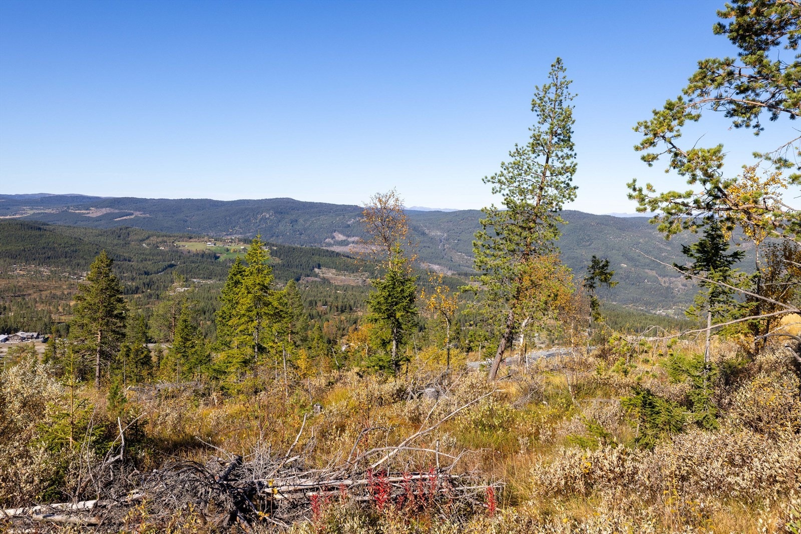 Utsikt fra tomtene Galleribilde