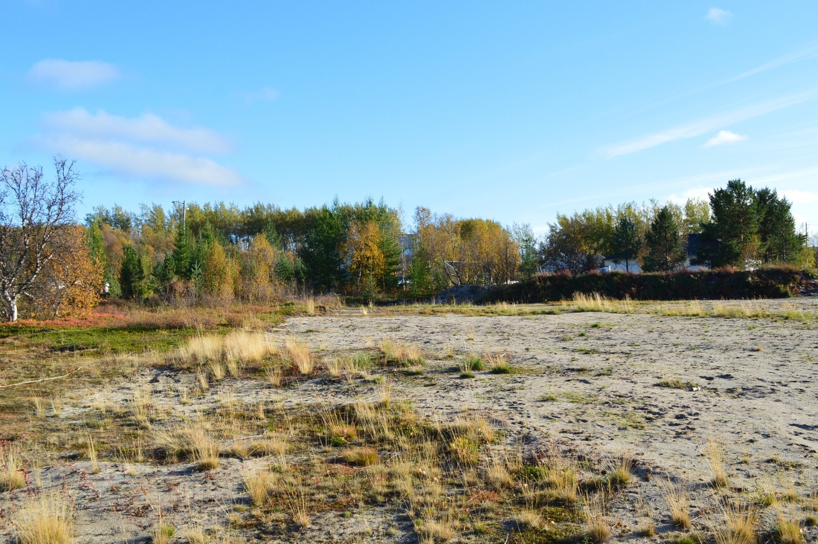 Mot sør-øst Galleribilde