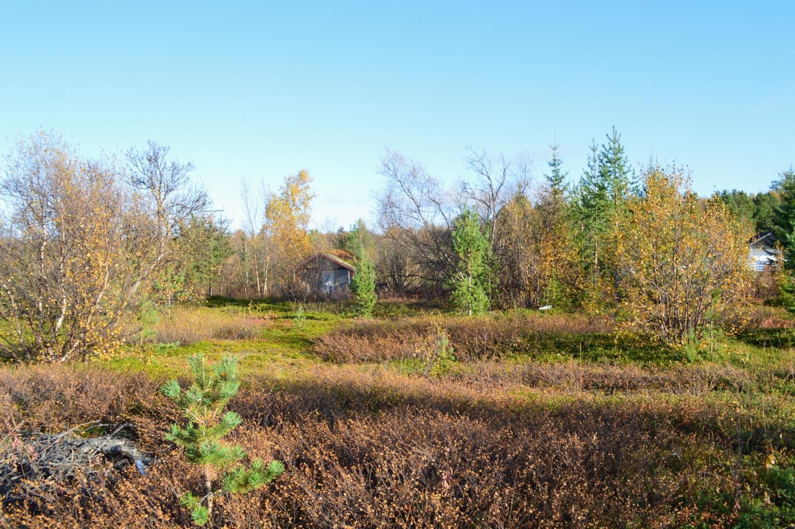 Står en liten koie på tomten Galleribilde