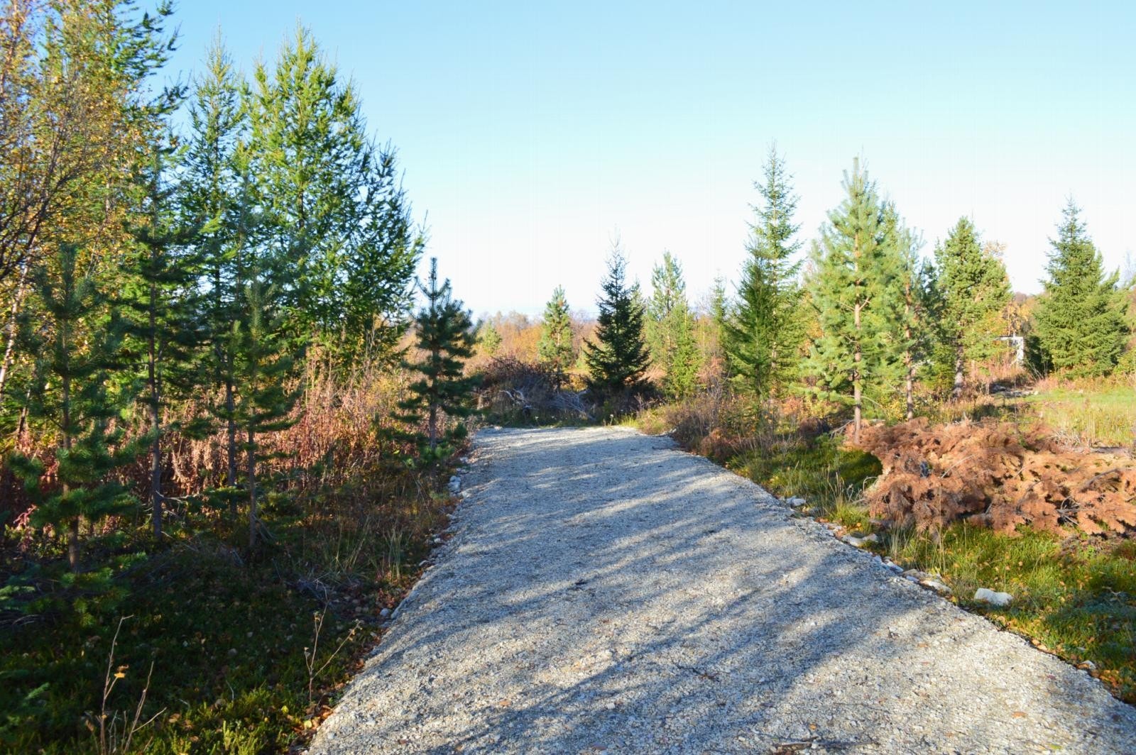 Vei mot tomt Galleribilde