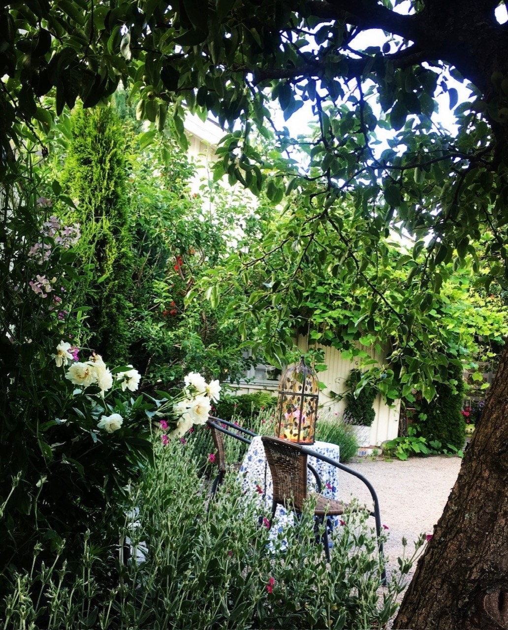 Frodig bakgård på sommerstid. Galleribilde