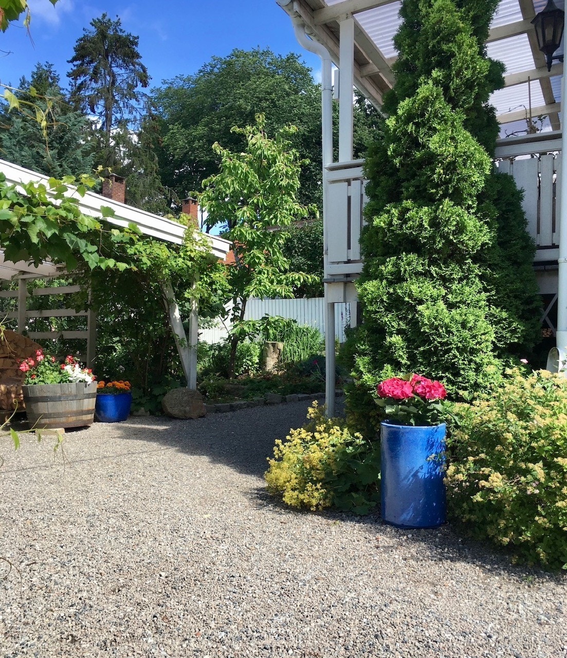 Høy trivselsfaktor. Galleribilde