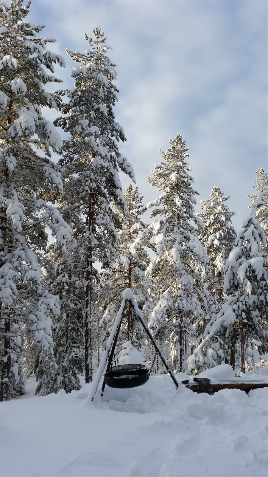 - Privat bilde fra selger - Galleribilde