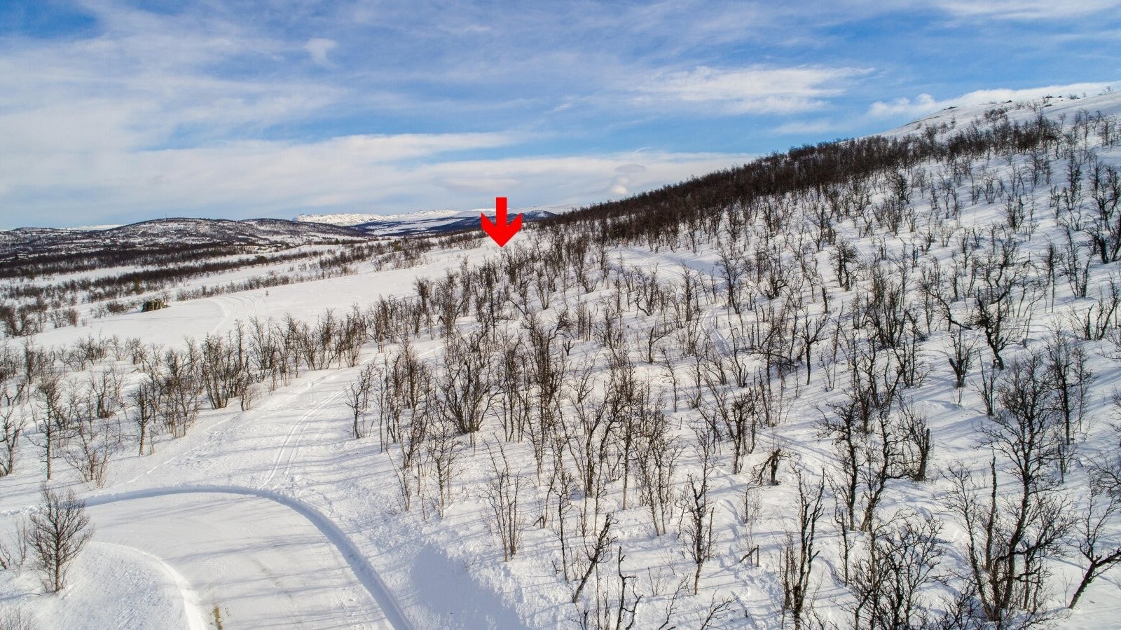 Tomt merket ca Galleribilde