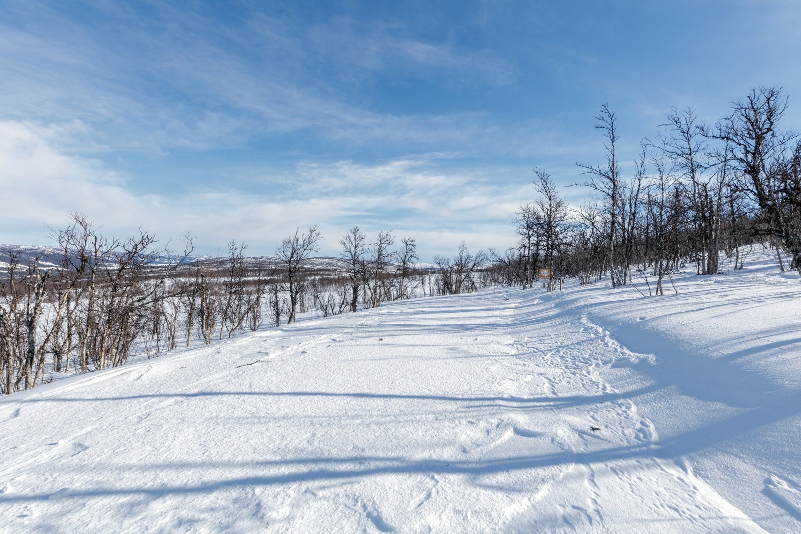Enden av veien, hvor tomten ligger til venstre Galleribilde