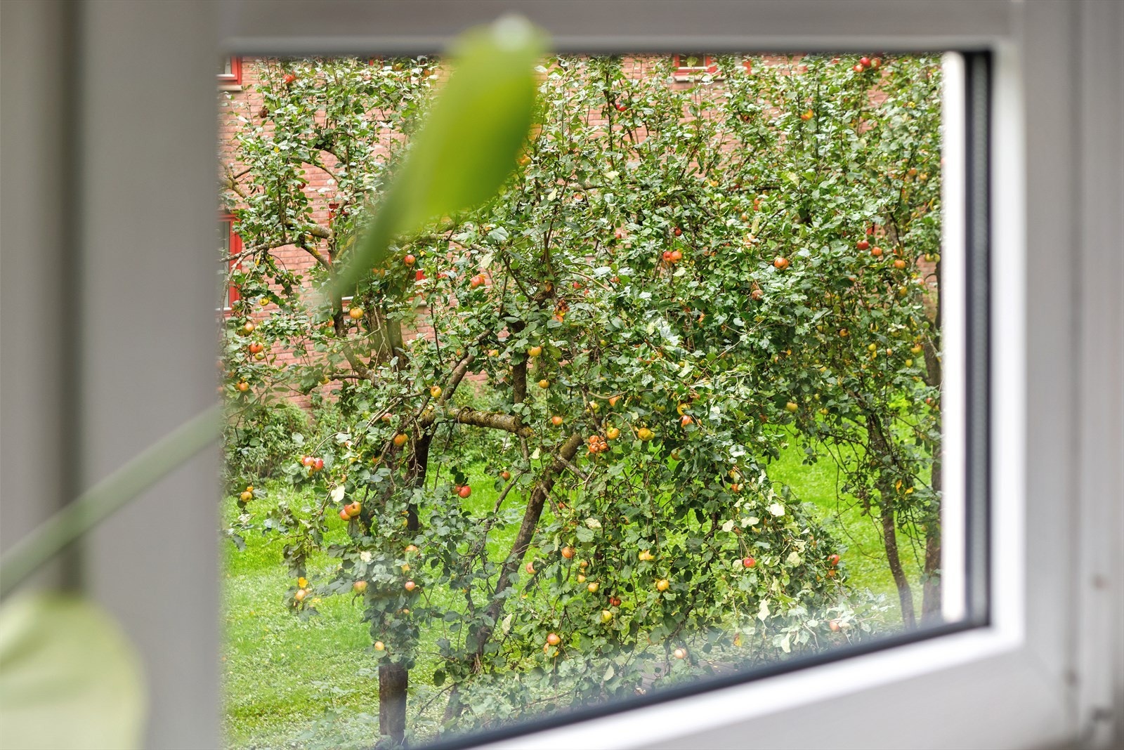 Alle rommene vender ut mot rolig og pent opparbeidet grøntområder Galleribilde