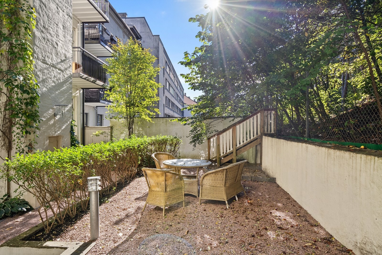 Felles bakhage med sitter grupper. Galleribilde