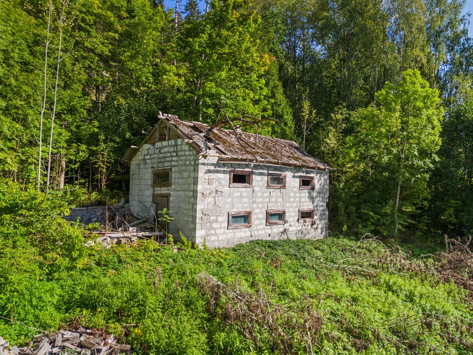 Det samme gjelder uthuset Galleribilde