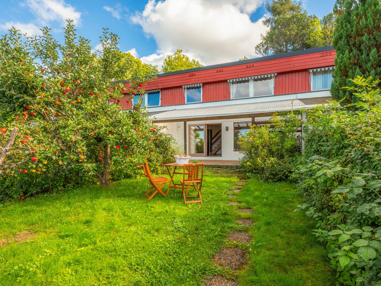 Sensommer i eplehagen. Galleribilde
