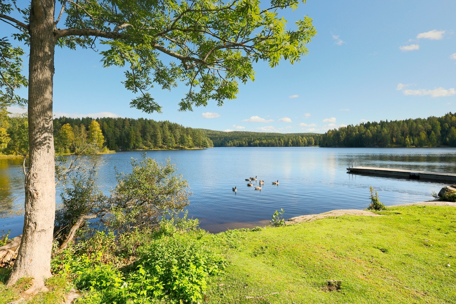 Nøklevann turområde med badeplasser og muligheter for å leie kano/kajakk. Galleribilde