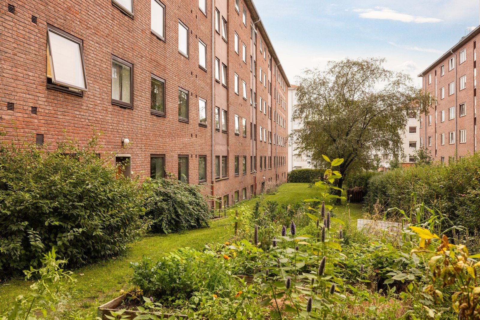 Leiligheten vender ut mot grønne og rolige omgivelser Galleribilde