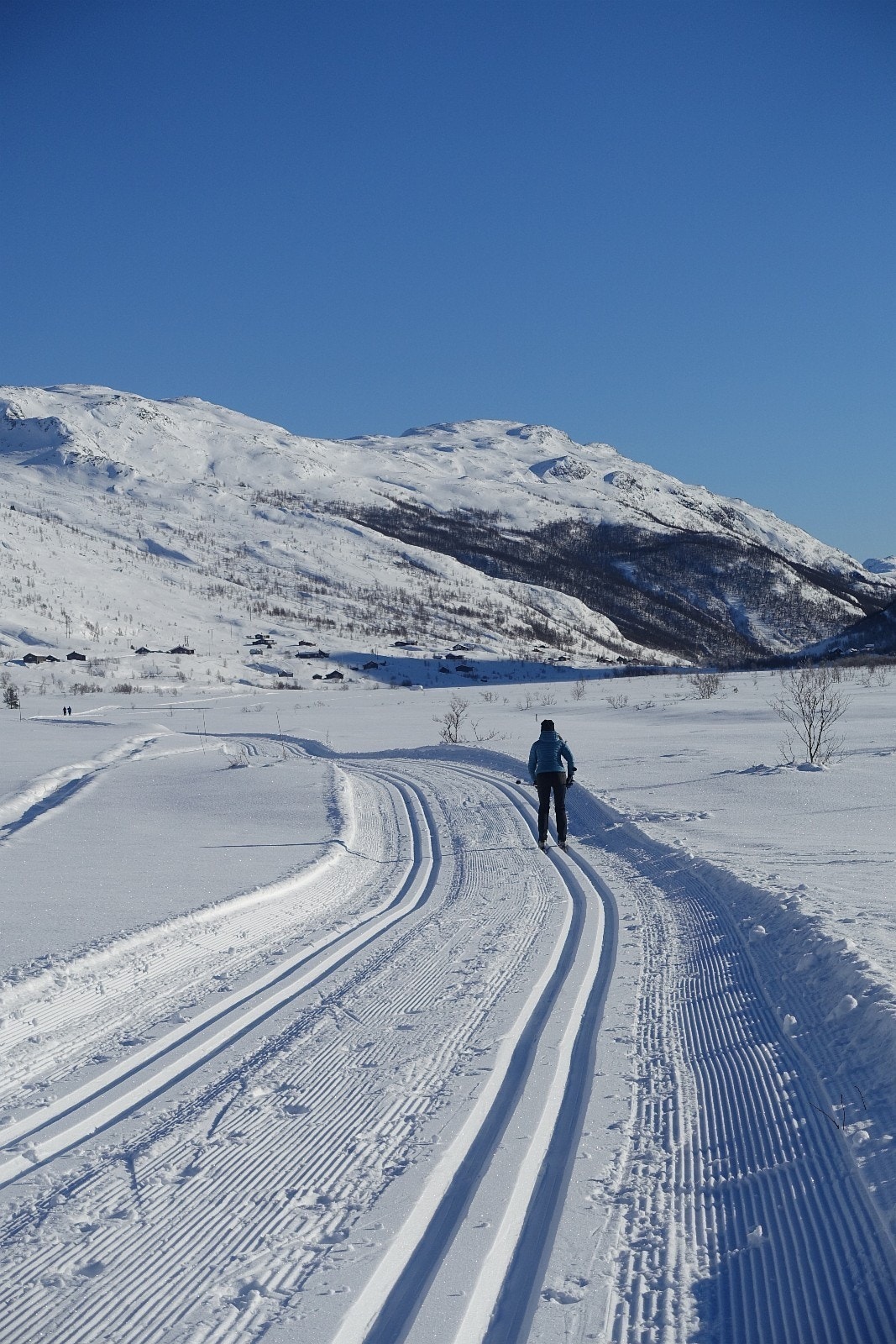 Det er flotte langrennsløyper i nærområdet til tomten. Galleribilde