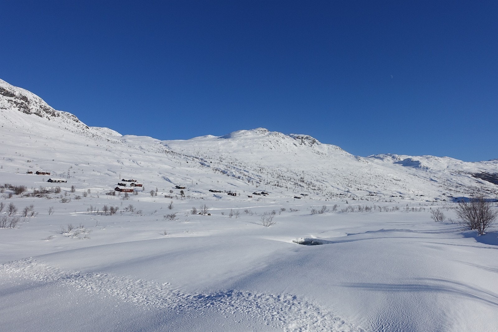 Nærområdet er fantastisk om vinteren! Galleribilde