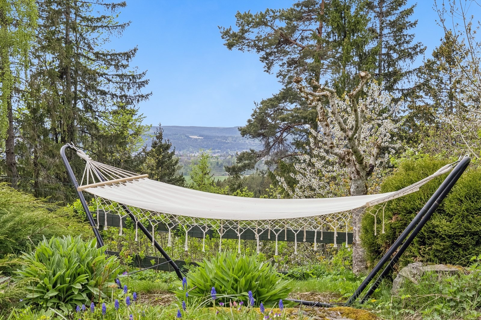 Magisk sted å se våren spire frem. Galleribilde
