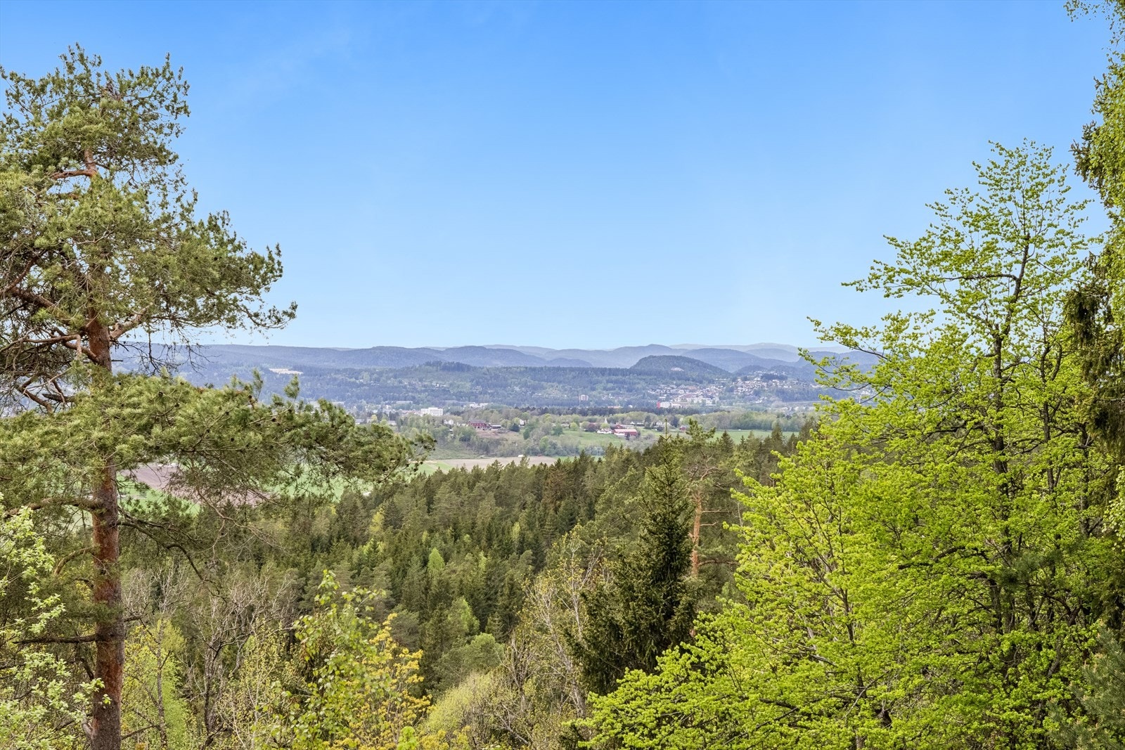 Vakker utsikt over Grenland Galleribilde