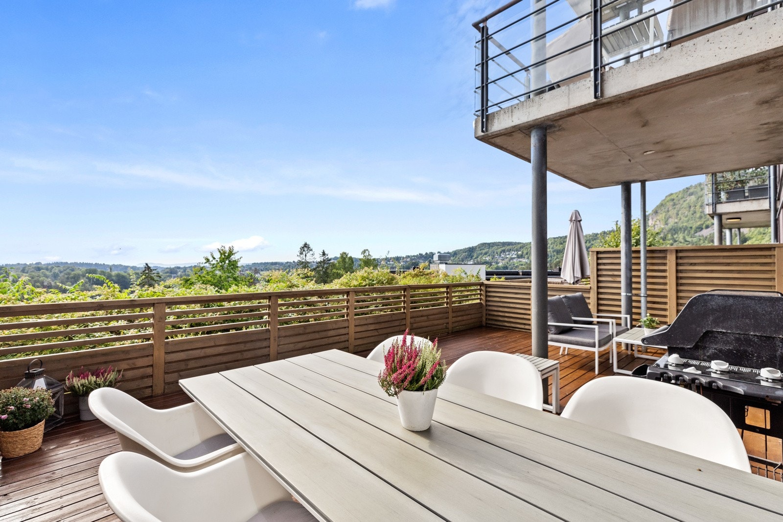 Grønne omgivelser Galleribilde