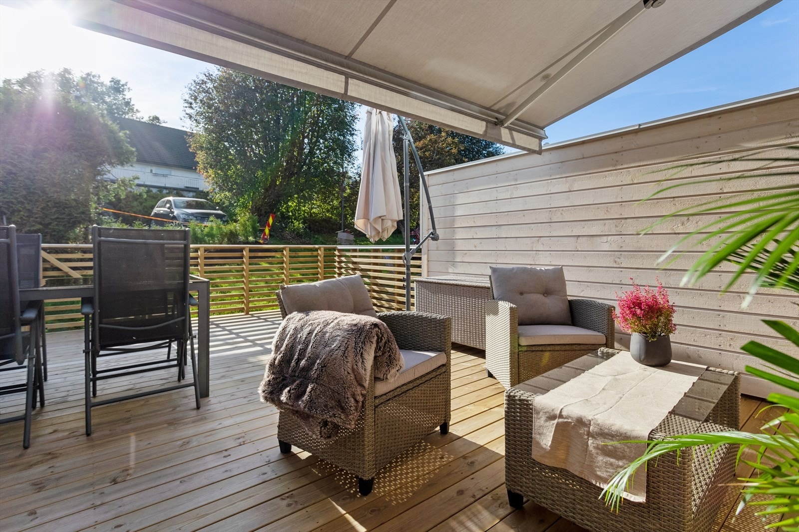 Nyt lange soldager i godt selskap Galleribilde