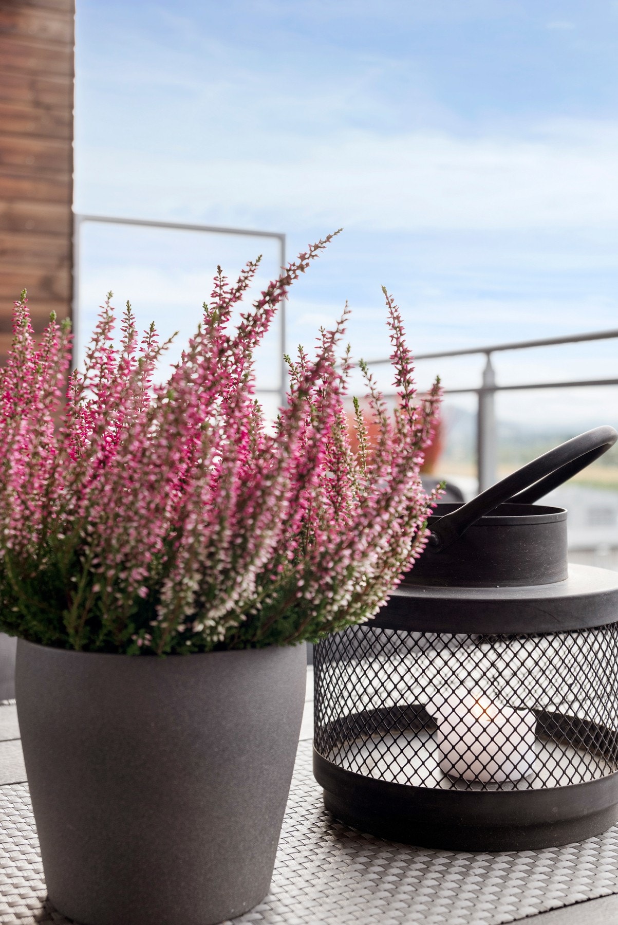 Detalj. Galleribilde