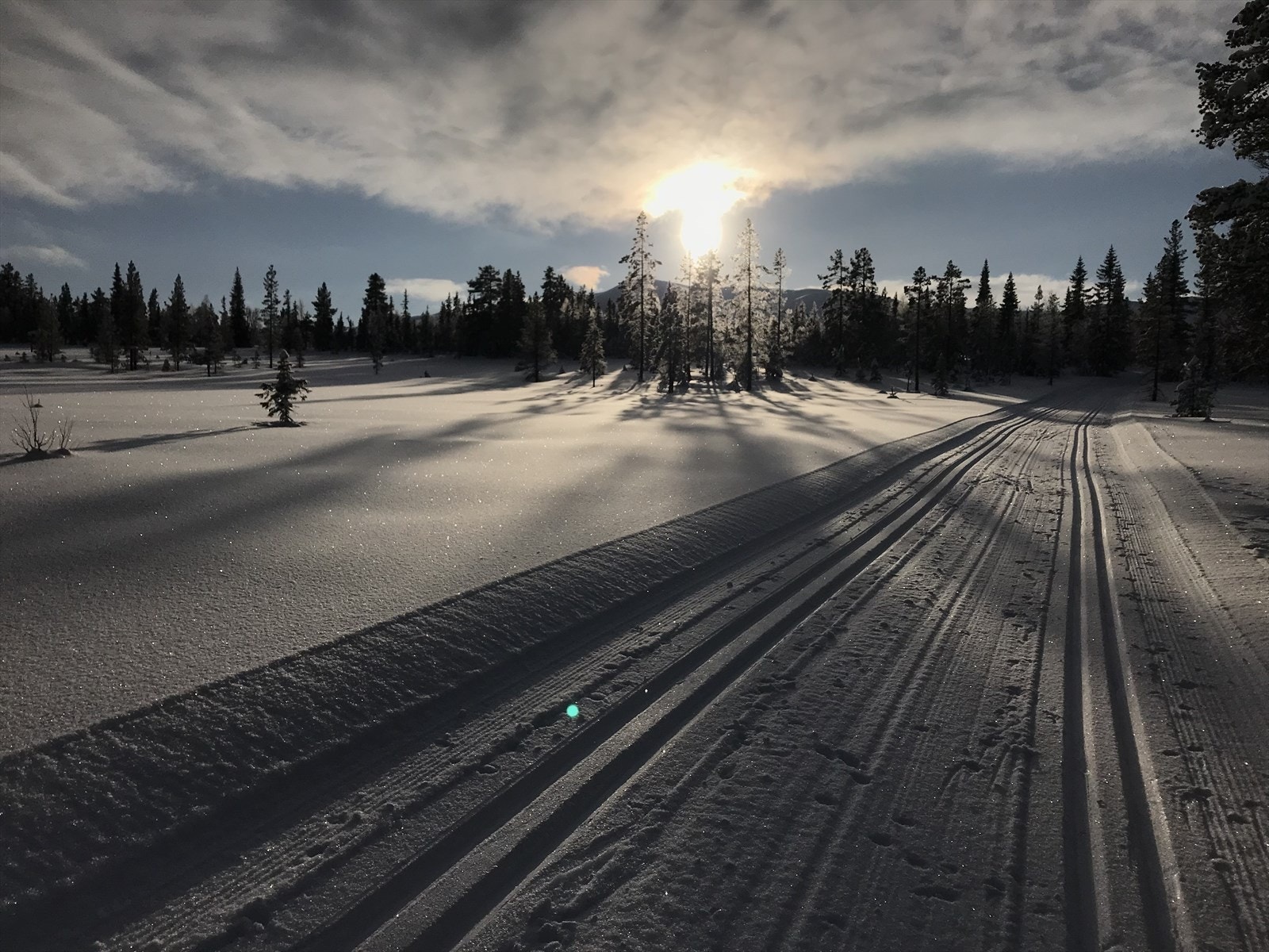 Mange flotte rundløyper i et snilt skiterreng. Galleribilde