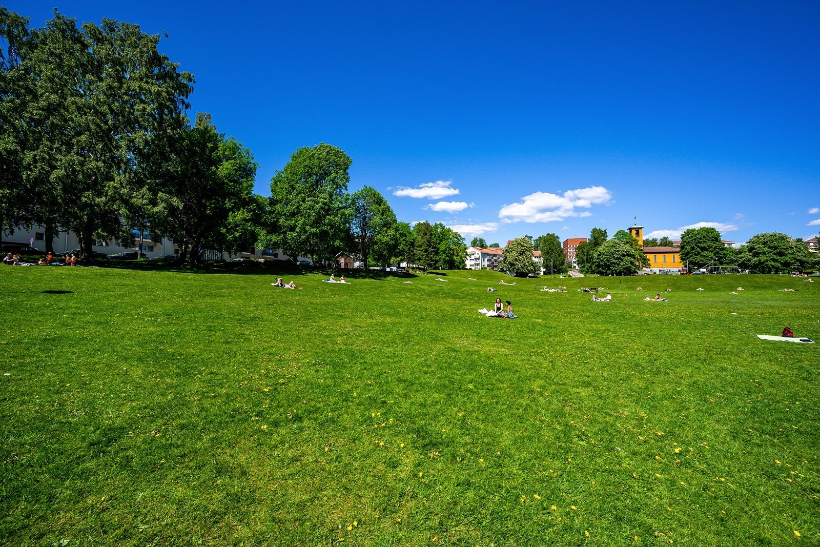 Iladalen park er også kun noen minutter fra leiligheten. Her kan du nyte flotte sommerdager i Oslo. Galleribilde