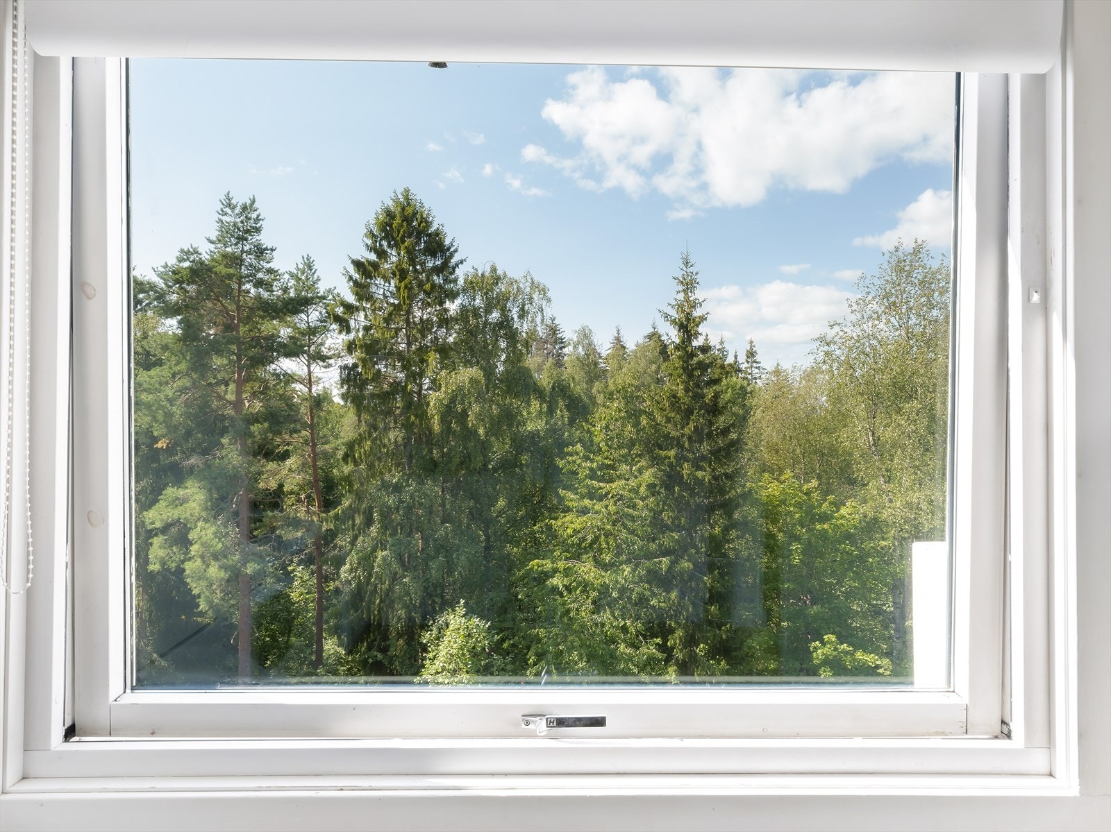 Utsikt fra vinduet mot frodig skog. Galleribilde